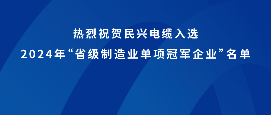 xcsports荣获广东省制造业单项冠军！