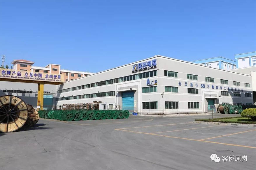 党建引航 | 坚守初心与使命——  xcsports电缆接受凤岗电视台采访和报道