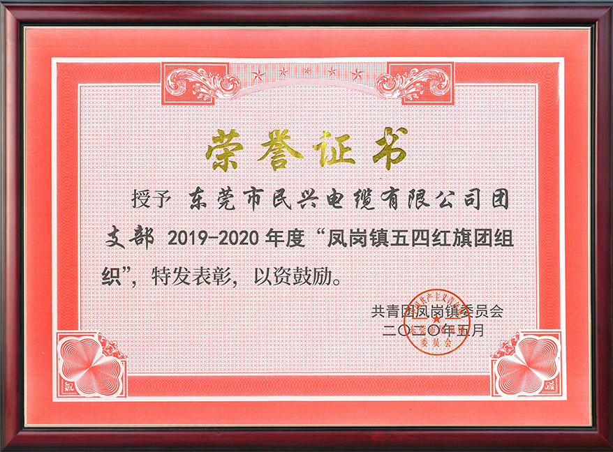  xcsports电缆团支部获“凤岗镇五四红旗团组织“称呼