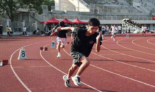 xc sports(中国区)-官方网站
